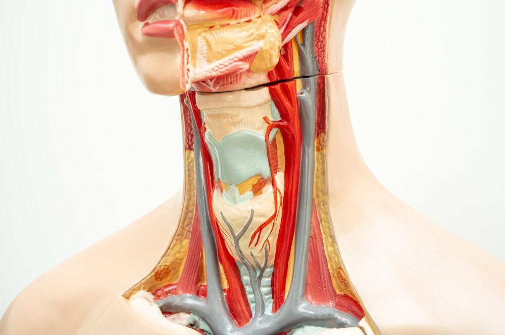 Diagnosis of Carotid Artery Stenosis