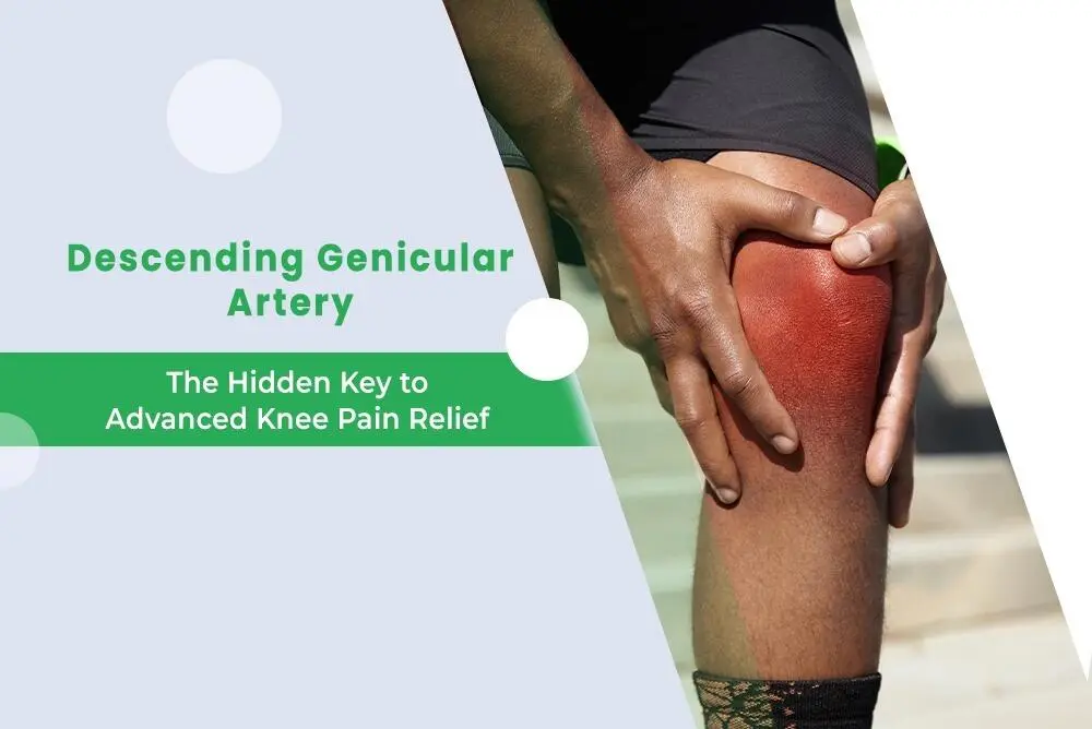 Descending Genicular Artery The Hidden Key to Advanced Knee Pain Relief