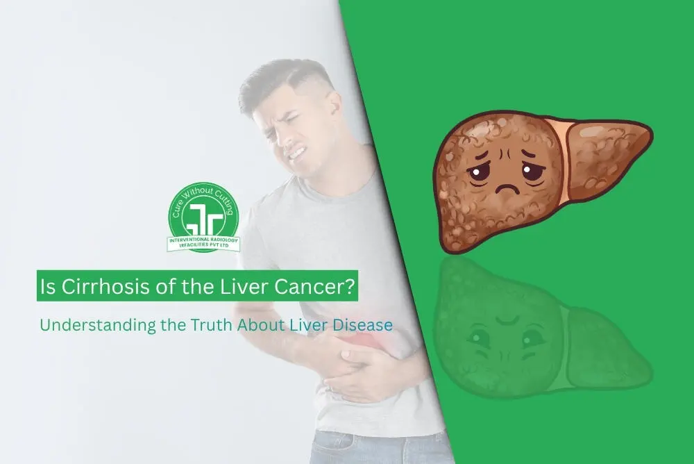 Is Cirrhosis of the Liver Cancer Understanding the Truth About Liver Disease